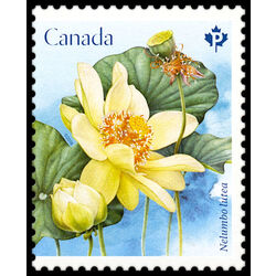 canada stamp 3087b lotus nelumbo lutea 2018