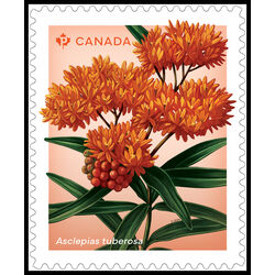 canada stamp 3416 asclepias tuberosa 2024