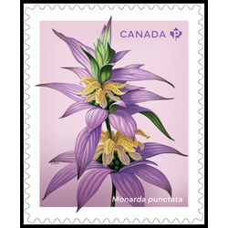 canada stamp 3417 monarda punctata 2024