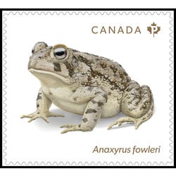 canada stamp 3422 anaxyrus fowleri 2024