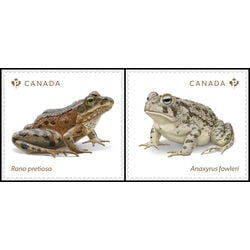canada stamp 3421 2 endangered frogs 1 84 2024