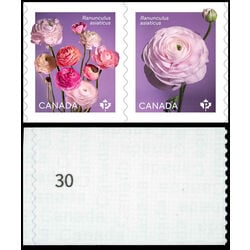canada stamp 3374ai ranunculus 2023 M VFNH %2330