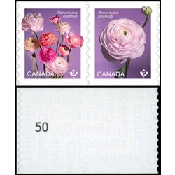 canada stamp 3374ai ranunculus 2023 M VFNH %2350