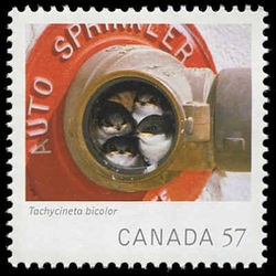 canada stamp 2388d tree swallows 57 2010