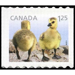 canada stamp 2428 canada geese 1 25 2011