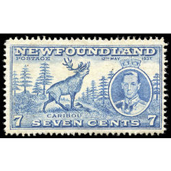 newfoundland stamp 235iii caribou 7 1937