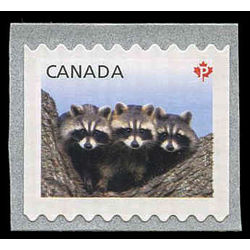 canada stamp 2505 raccoons 2012