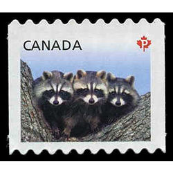canada stamp 2506 raccoons 2012