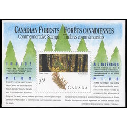canadian forests coast forest 1990