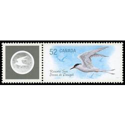 canada stamp 2285c roseate tern 52 2008