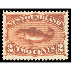 newfoundland stamp 48 codfish 2 1887 M VFNH 016